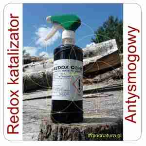 Inwex Redox CO/19 katalizator do paliw 0,5 L