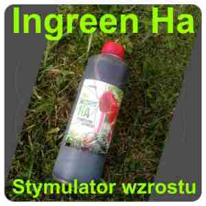 Stymulator wzrostu Ingreen HA 1L inwex