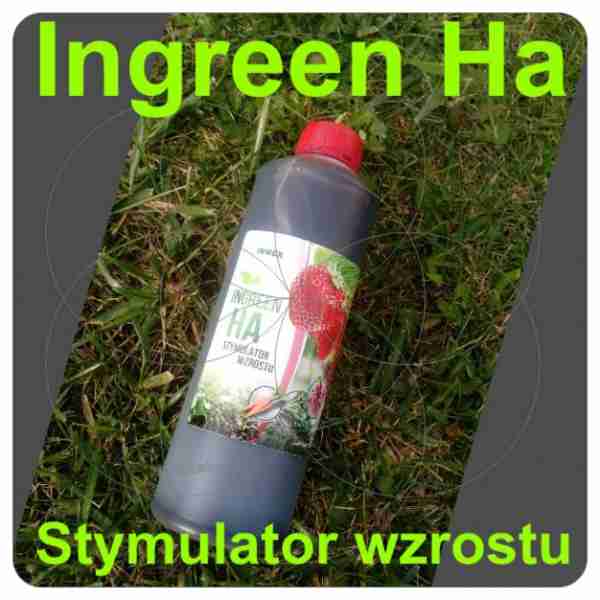 Stymulator wzrostu Ingreen HA 1L inwex