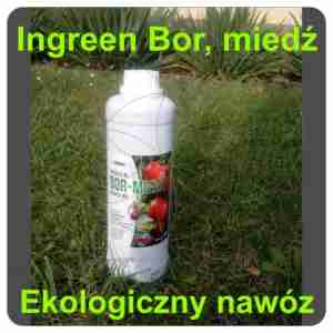 Eko nawóz Ingreen Bor - miedź 1L inwex