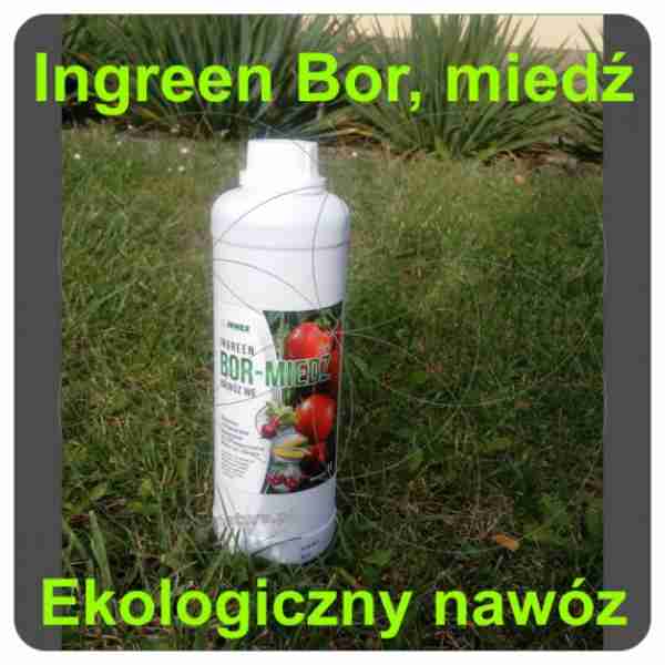 Eko nawóz Ingreen Bor - miedź 1L inwex