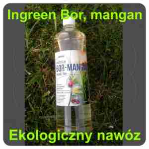 Eko nawóz Ingreen Bor - mangan 1L inwex