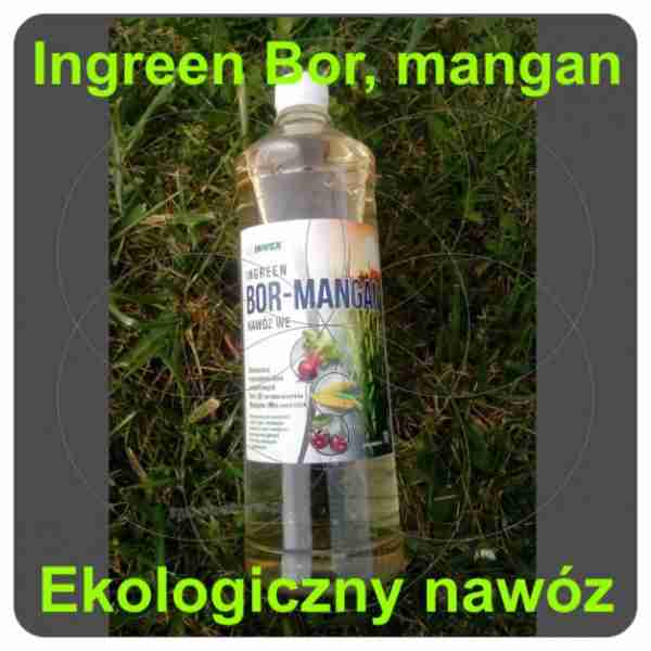 Eko nawóz Ingreen Bor - mangan 1L inwex