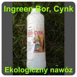 Eko nawóz Ingreen Bor - cynk 1L inwex