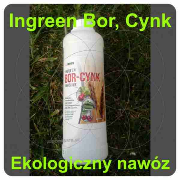 Eko nawóz Ingreen Bor - cynk 1L inwex