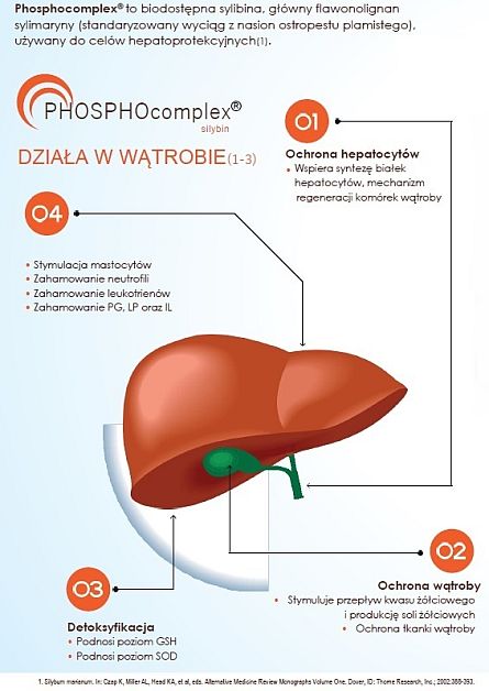 Wątroba Regeneracja Kompleks 90 vege kapsułki 2 watroba-regeneracja