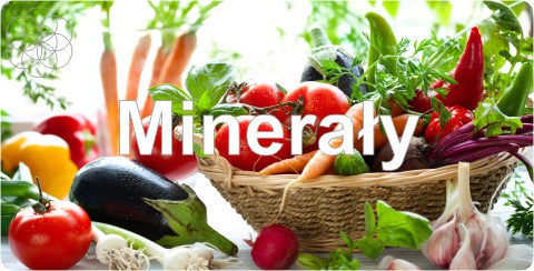 Suplementy Naturalne | Probiotyki | Sklep Zielarski Częstochowa